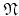 $\mathfrak{N}$