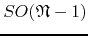 $SO(\mathfrak{N}-1)$